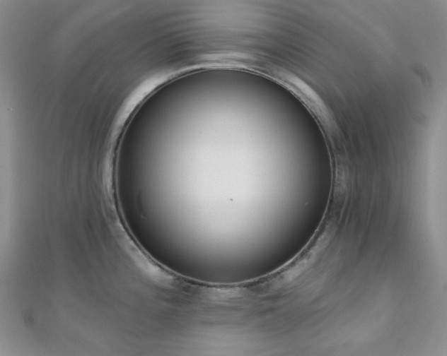 X0000110901196200906181316