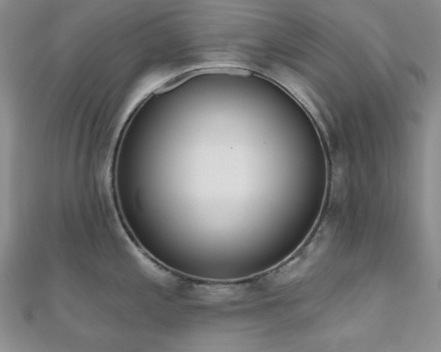 X0000110901197200906181316