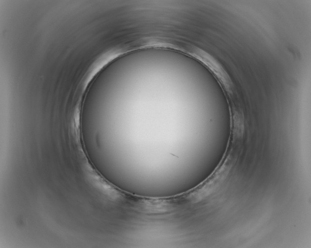 X0000110901198200906181316