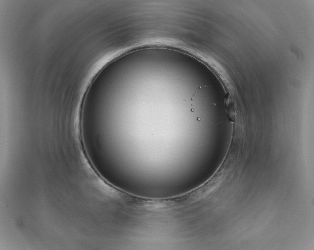 X0000110901199200906181316
