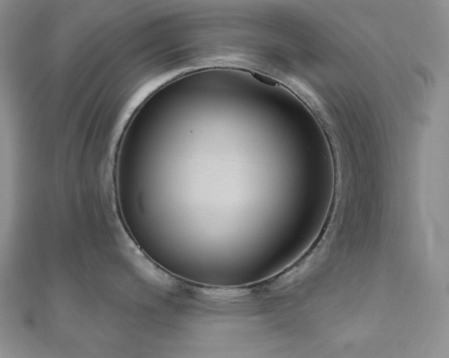 X0000110901200200906181316