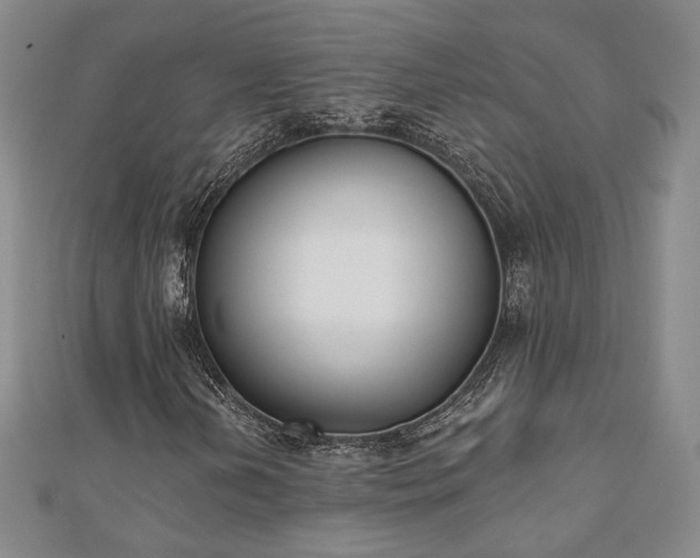 X0000110901202200906181316