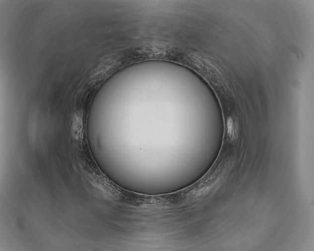 X0000110901203200906181316