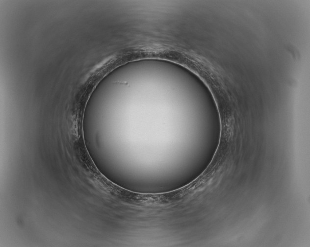 X0000110901205200906181316