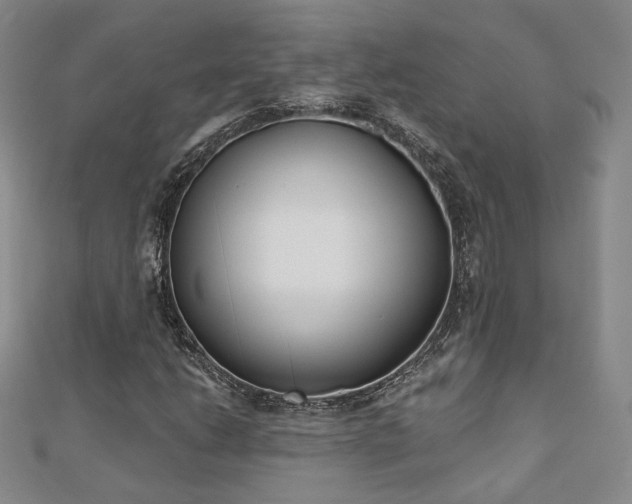 X0000110901206200906181316
