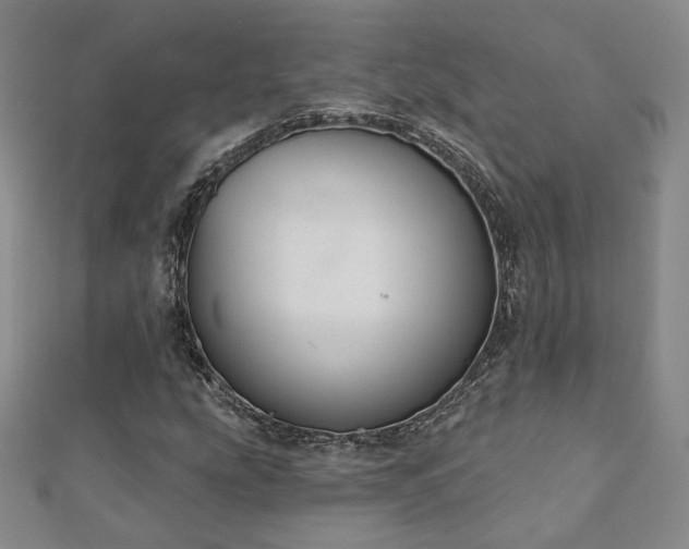 X0000110901207200906181316