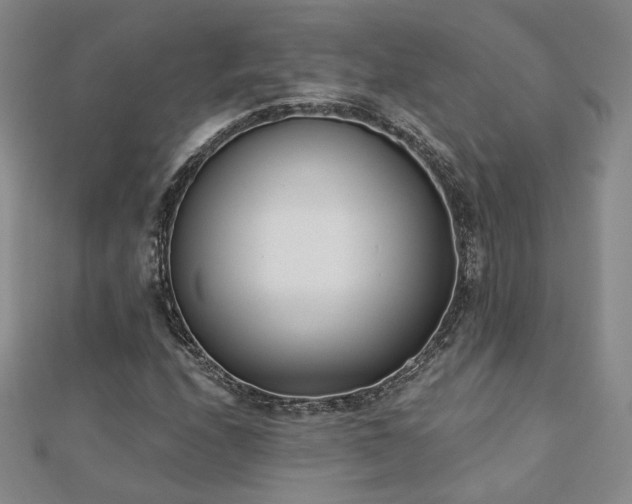 X0000110901208200906181316