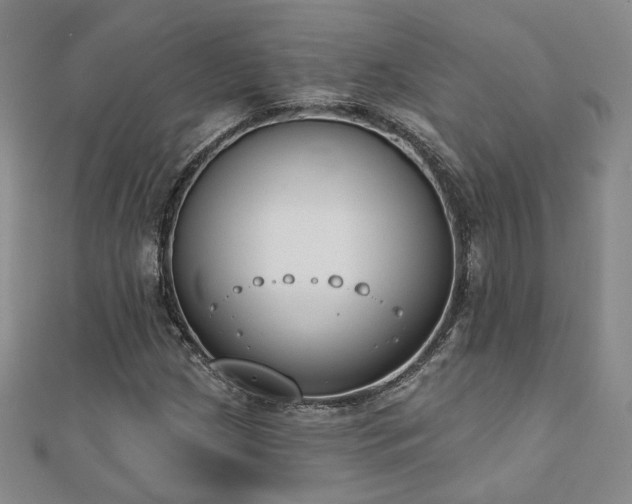 X0000110901209200906181316