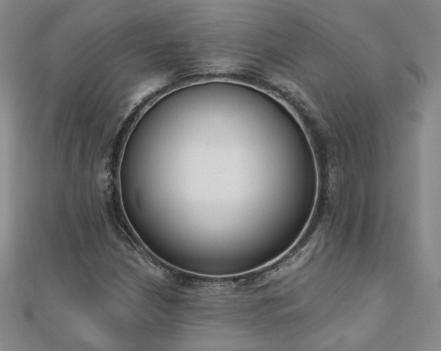 X0000110901210200906181316