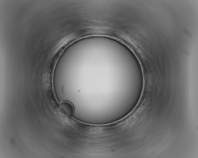 X0000110901211200906181316