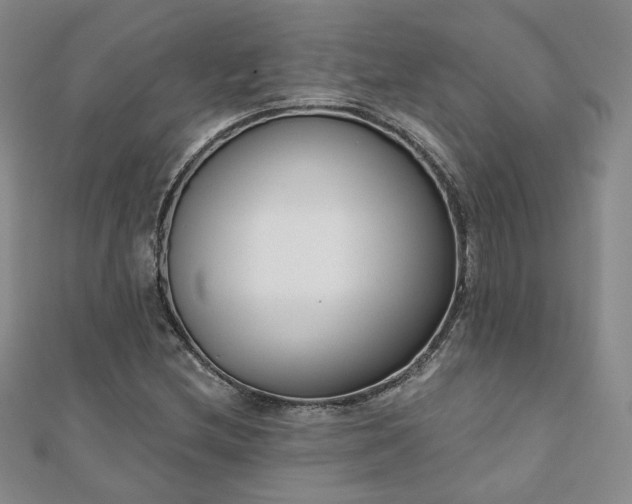 X0000110901212200906181316