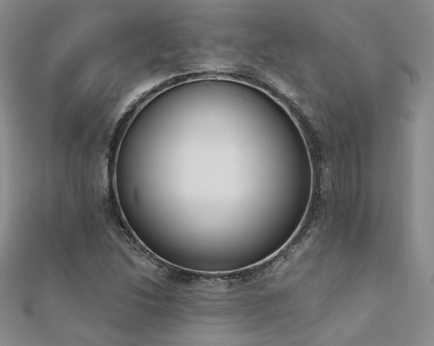 X0000110901214200906181316