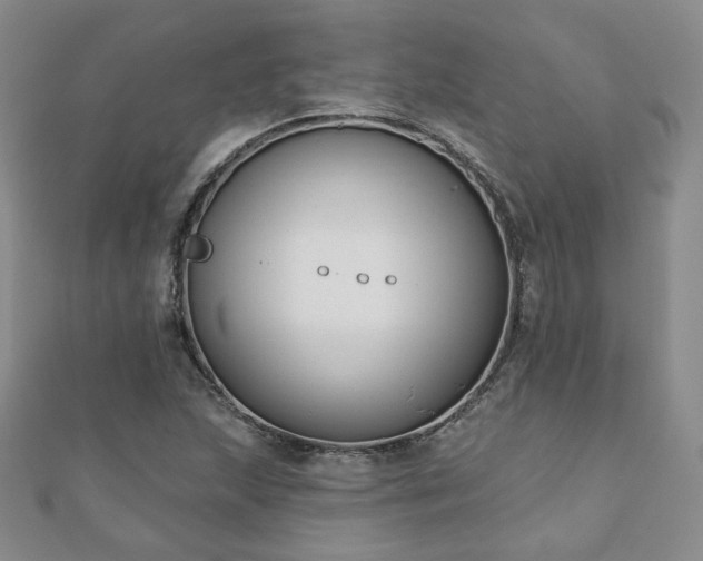 X0000110901215200906181316