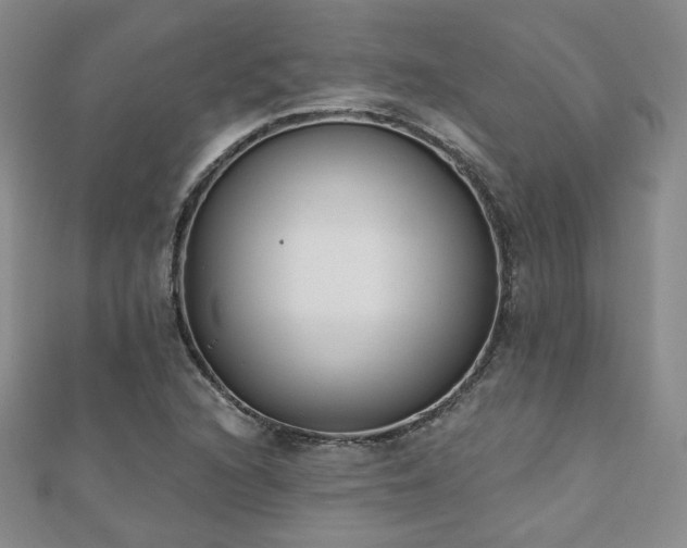 X0000110901216200906181316