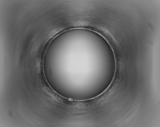 X0000110901217200906181316