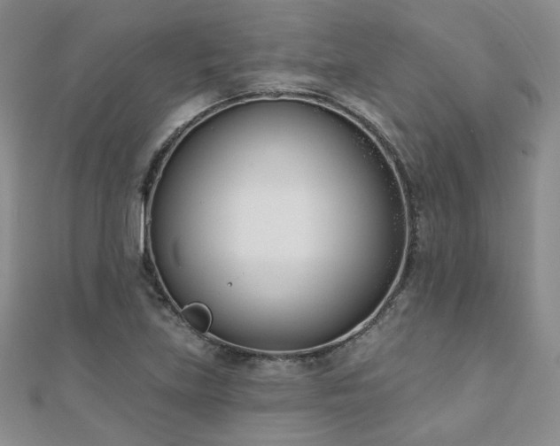 X0000110901219200906181316
