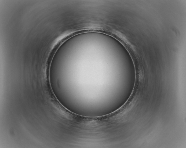 X0000110901222200906181316