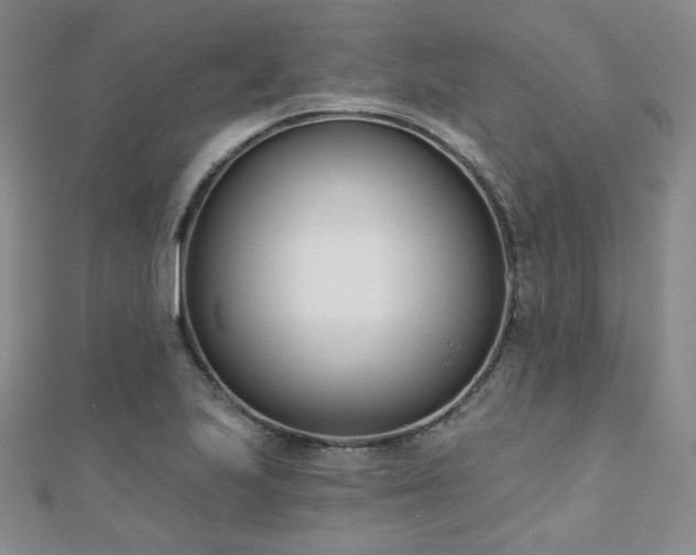 X0000110901223200906181316
