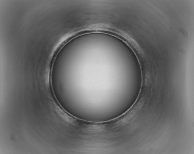 X0000110901224200906181316
