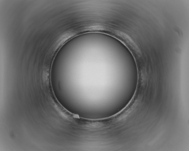 X0000110901225200906181316
