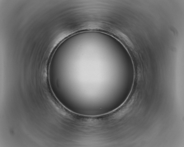 X0000110901226200906181316