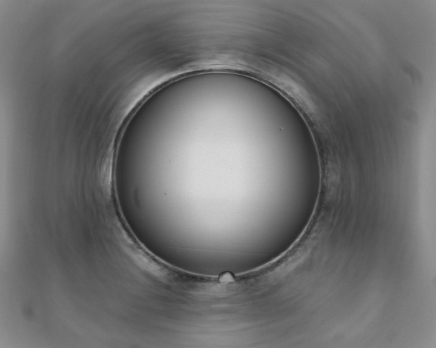 X0000110901228200906181316