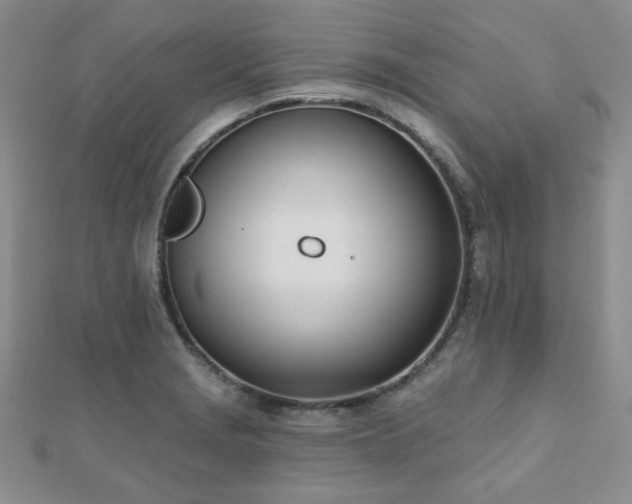 X0000110901229200906181316