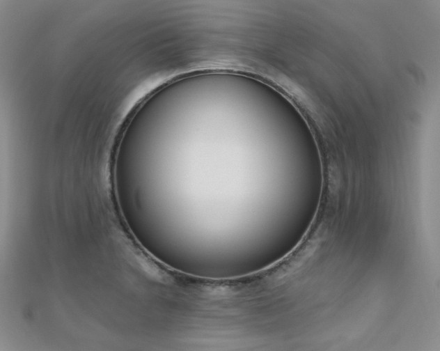 X0000110901230200906181316