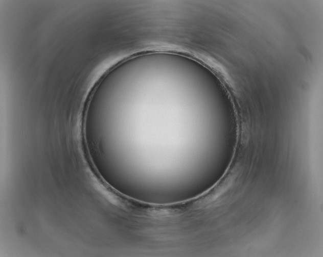 X0000110901231200906181316