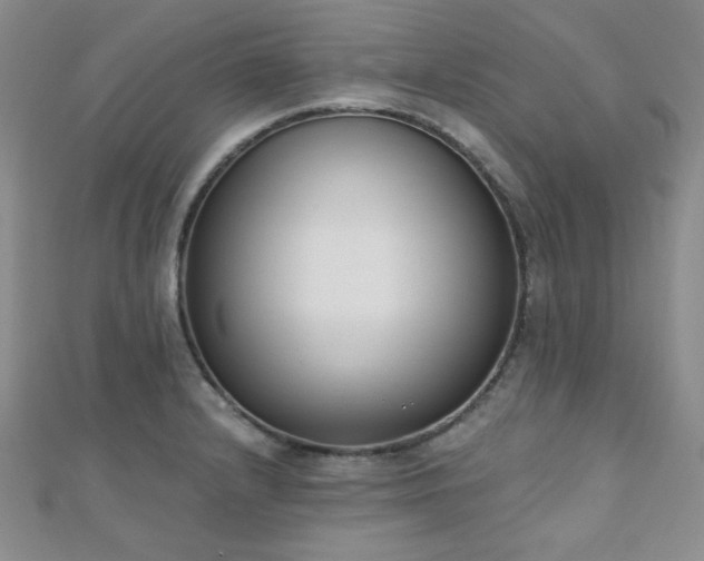 X0000110901232200906181316