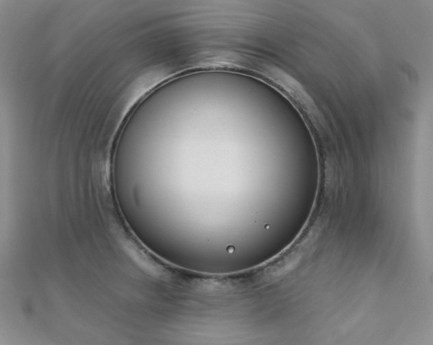 X0000110901234200906181316