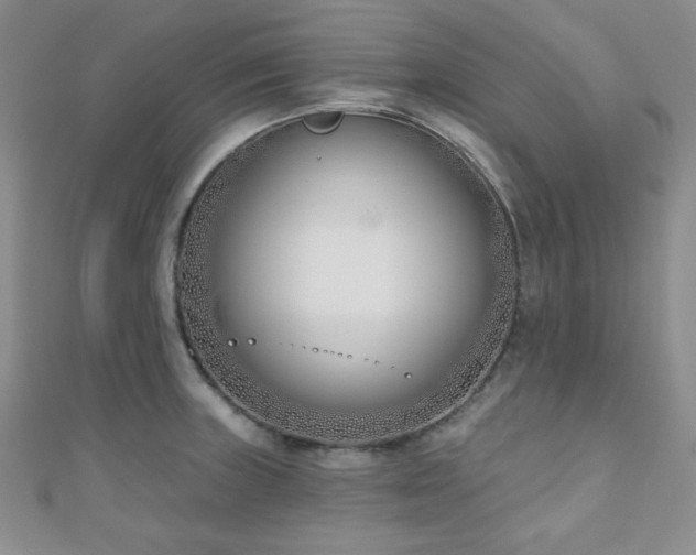 X0000110901235200906181316