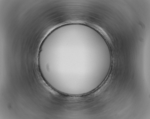X0000110901236200906181316