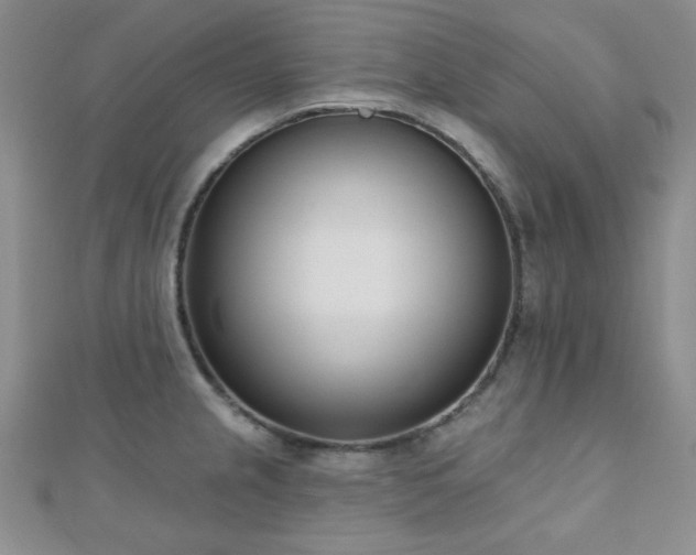 X0000110901237200906181316