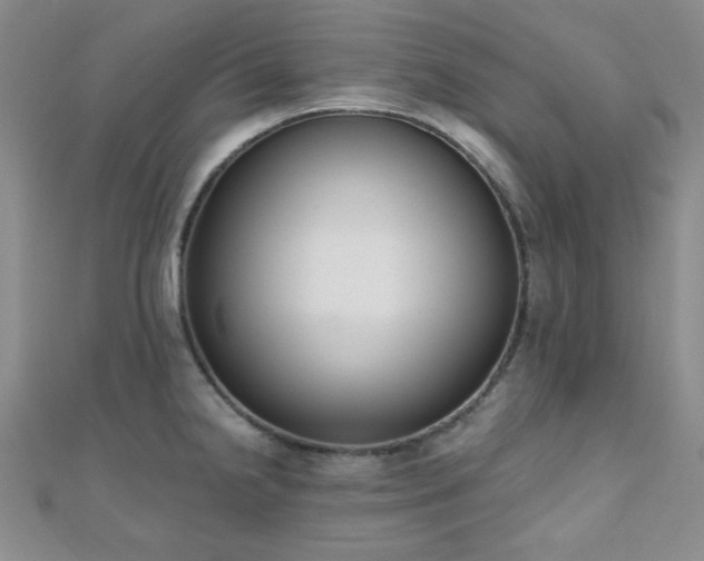 X0000110901238200906181316