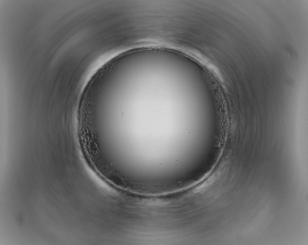 X0000110901239200906181316