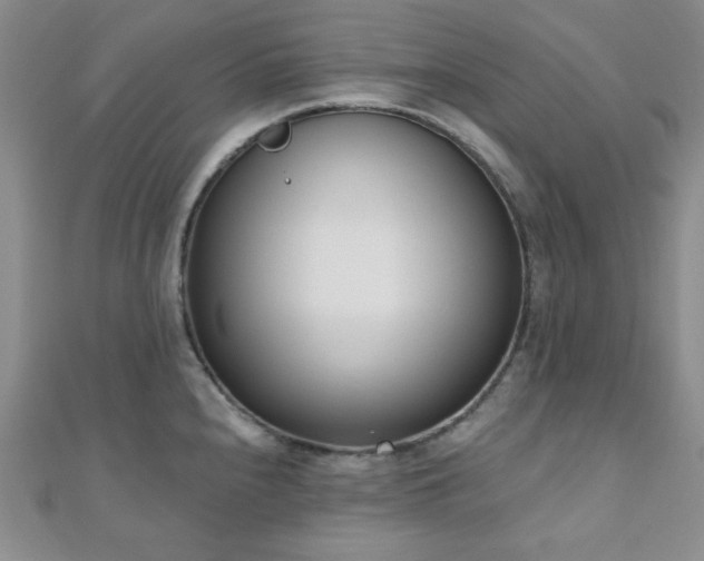 X0000110901240200906181316