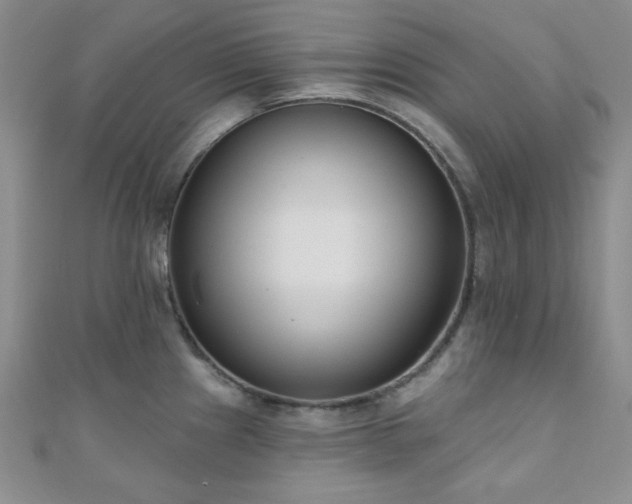 X0000110901241200906181316