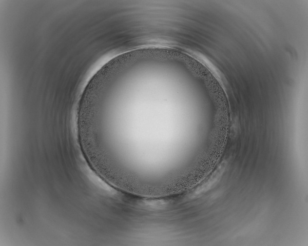 X0000110901243200906181316