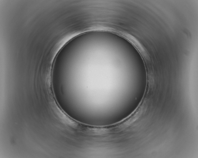 X0000110901244200906181316