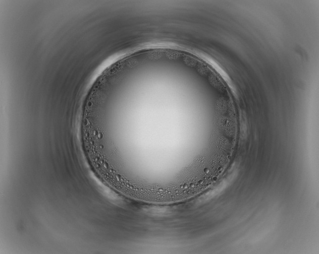 X0000110901245200906181316
