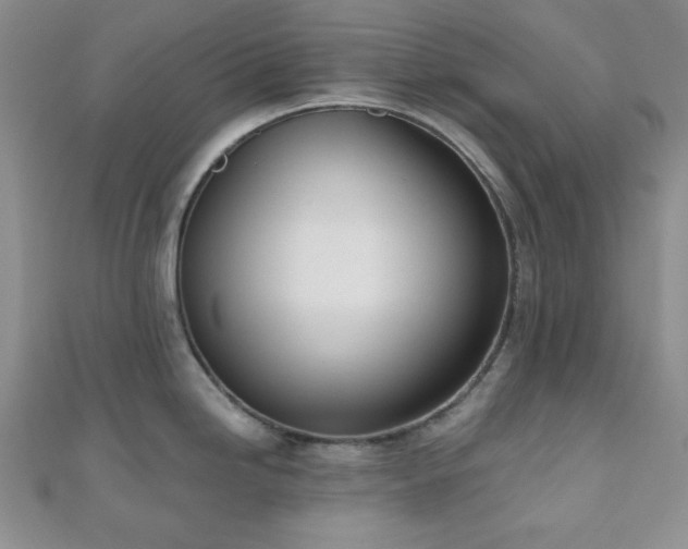 X0000110901246200906181316