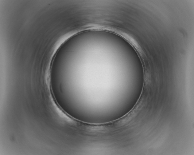 X0000110901247200906181316