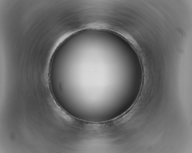 X0000110901248200906181316