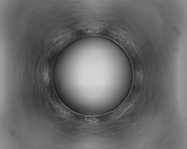 X0000110901250200906181316