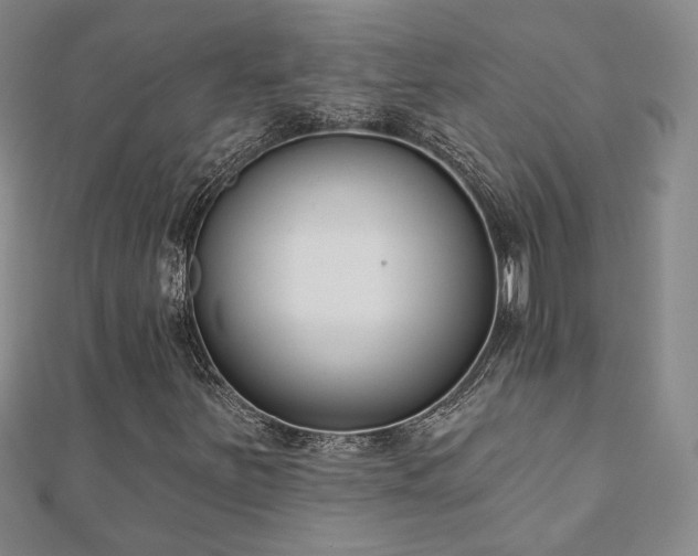 X0000110901251200906181316