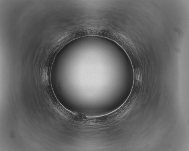 X0000110901252200906181316