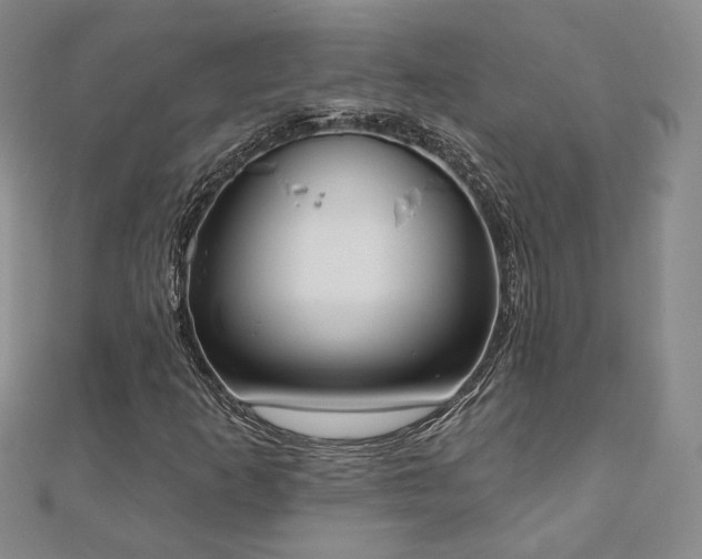 X0000110901253200906181316