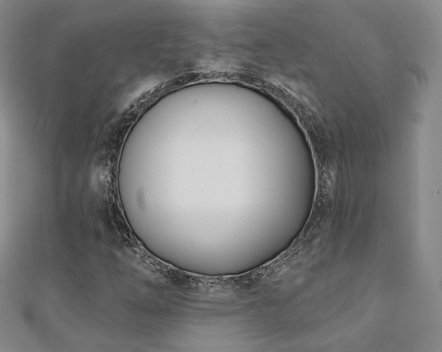 X0000110901254200906181316