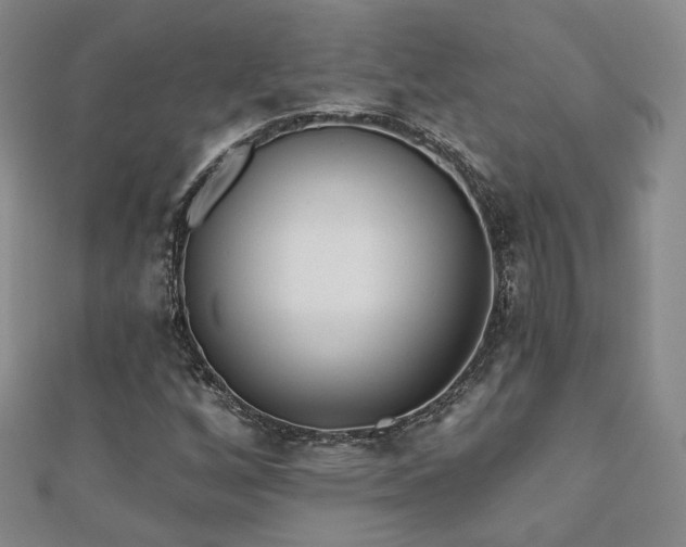 X0000110901256200906181316